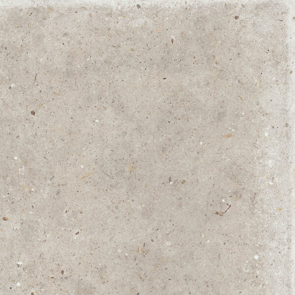 Gardenia/Ariana Anima Beige 60x60, afname per doos van 1,08 m²
