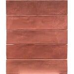 Revoir Paris Studio Rose d'Antan glossy 6x25, afname per doos van 0,32 m²