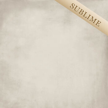 Detroit White 120x120 a 2,88 m²