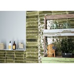 Cifre Jazba Olive Brillo 6x24,6, afname per doos van 0,5 m²