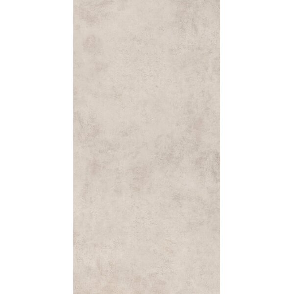 Ceravision Neos Taupe Mat 60x120, afname per doos van 1,44 m²
