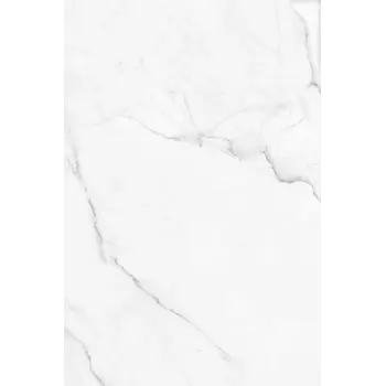 La Fabbrica AVA Venezia 280324 40x60 Statuario Reale a 1,44 m²