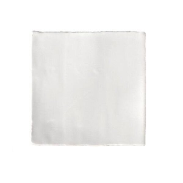 Terre d'Azur Porto F155 Grijs 10x10, afname per doos van 1 m²