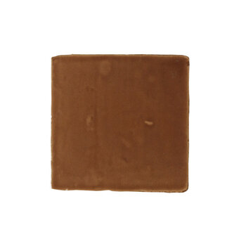 Terre d'Azur Porto F35 Bruin 10x10 a 1 m²