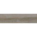 Eternal Olivo 25x100, afname per doos van 1,5 m²