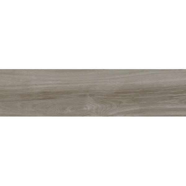 Eternal Olivo 25x100, afname per doos van 1,5 m²