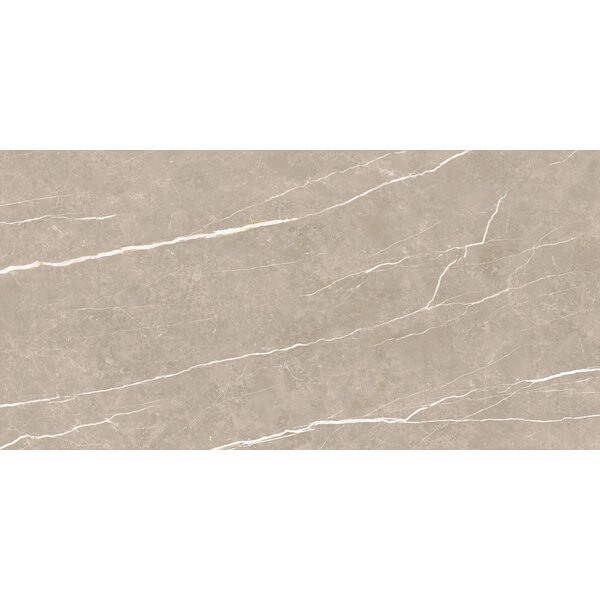 Elite Greige Matt 60x120, afname per doos van 1,44 m²