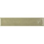 Ceravision Nouvelle Sage glans 3x16, afname per doos van 0,461 m²