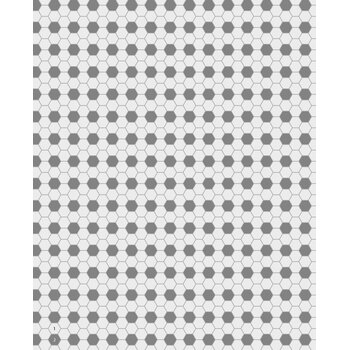 Winckelmans hexagon 2,5 cm mozaïek op net a 1,16 m²