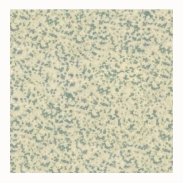 Winckelmans Squares 10x10 vlak 209 Green Speckled, 9 mm dik, afname per doos van 0,5 m²