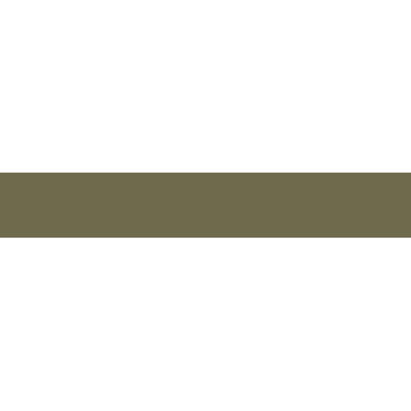 Vitcera Rectangle Green 2,4x15,1 cm, afname per doos van 30 stuks