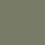 Winckelmans Dots 5x5 cm, vlak, australian green (VEA), 9 mm dik, afname per doos van 25 stuks