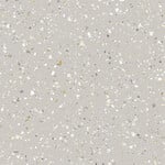 Polis Gray 60x60, afname per doos van 1,08 m²