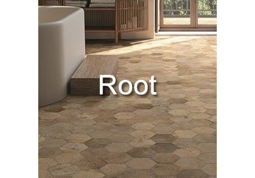Root
