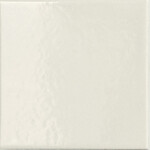 41ZERO42 Peperino Wool glans 10x10, afname per doos van 0,6 m²