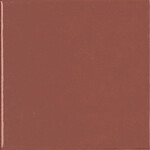 41ZERO42 Peperino Cherry glans 10x10 op net, afname per doos van 0,99 m²