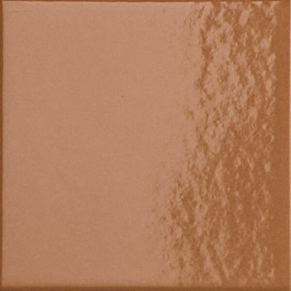 41ZERO42 Peperino Tan glans 10x10 op net, afname per doos van 0,99 m²