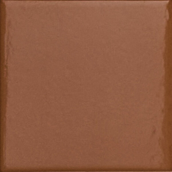 41ZERO42 Peperino Tan glans 10x10 op net, afname per doos van 0,99 m²