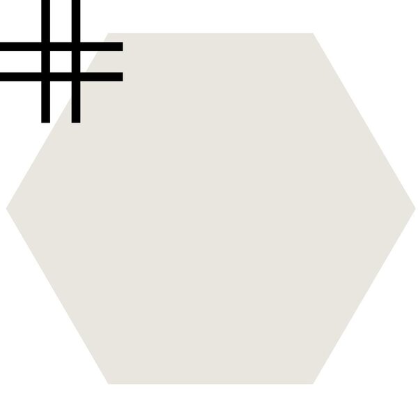 Winckelmans Hexagon 10 cm Superblanc (BAS), op net, 9 mm dik, afname per doos van 0,42 m²