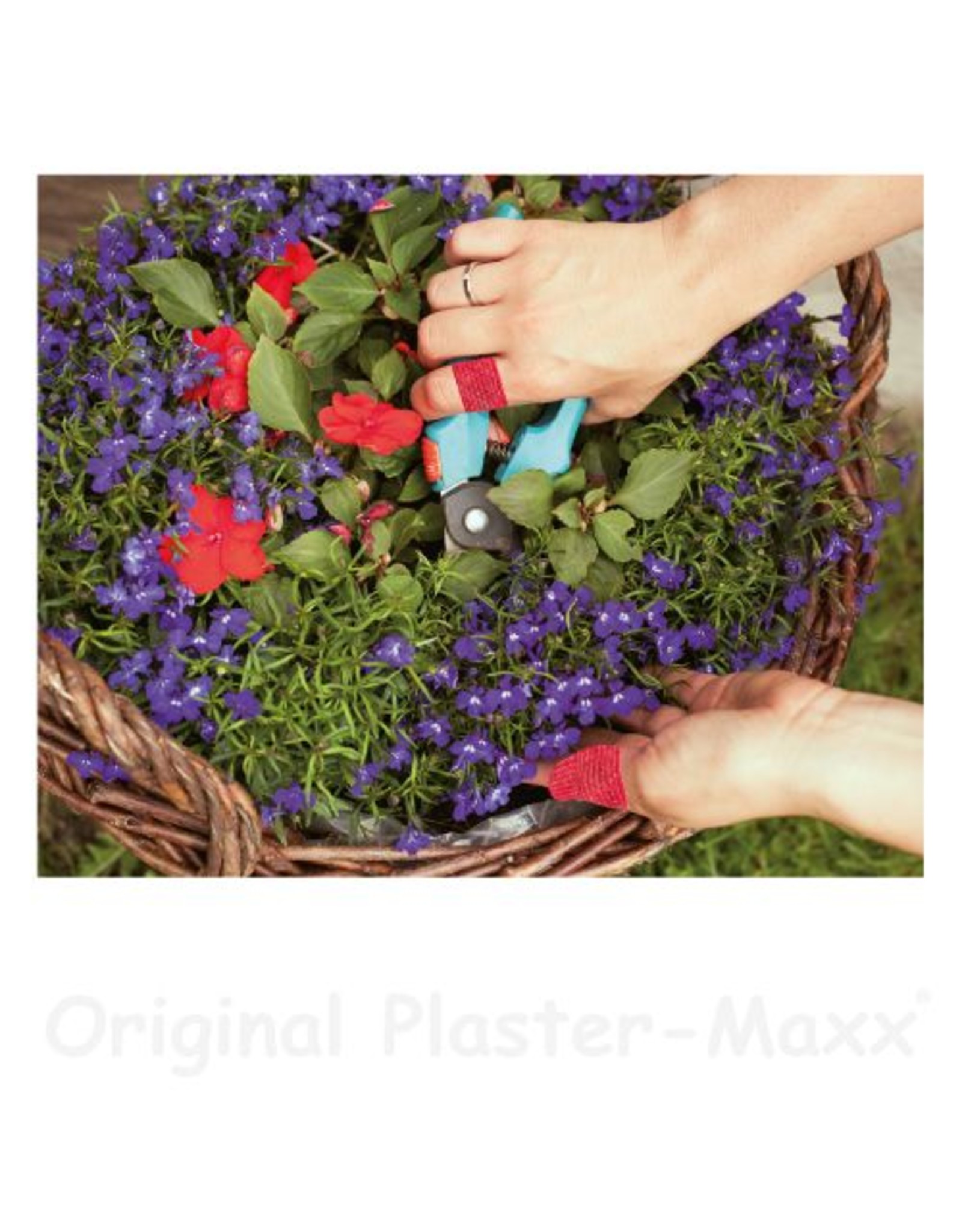 Plaster-Maxx Plaster-Maxx - Haut