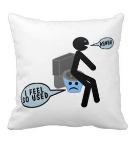 Funny Pillow