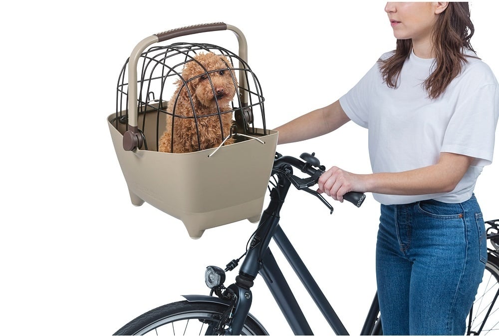 Basil voor de hond op de fiets