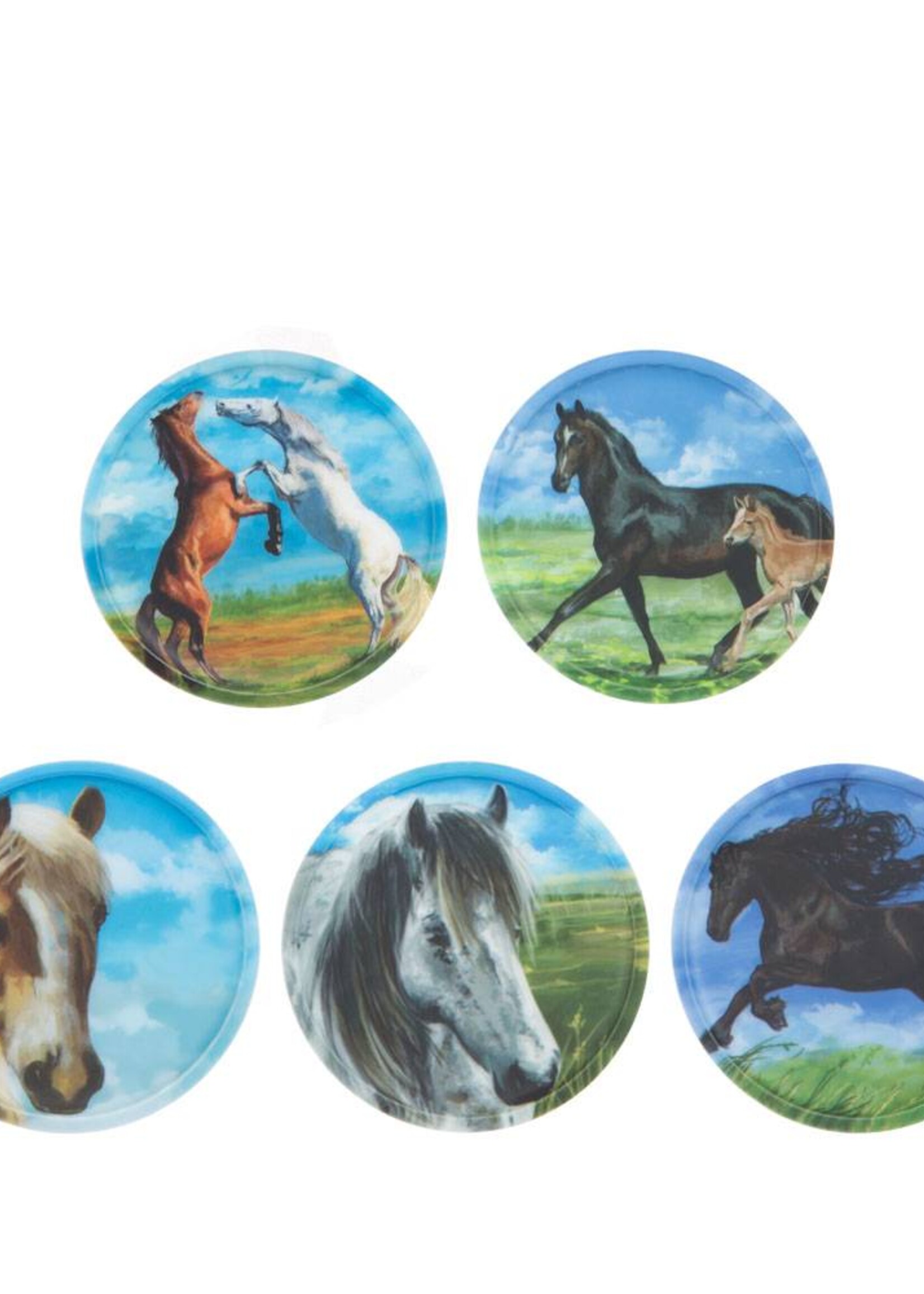 ERGOBAG ERGOBAG KLETTIE SET 5tlg Pferde