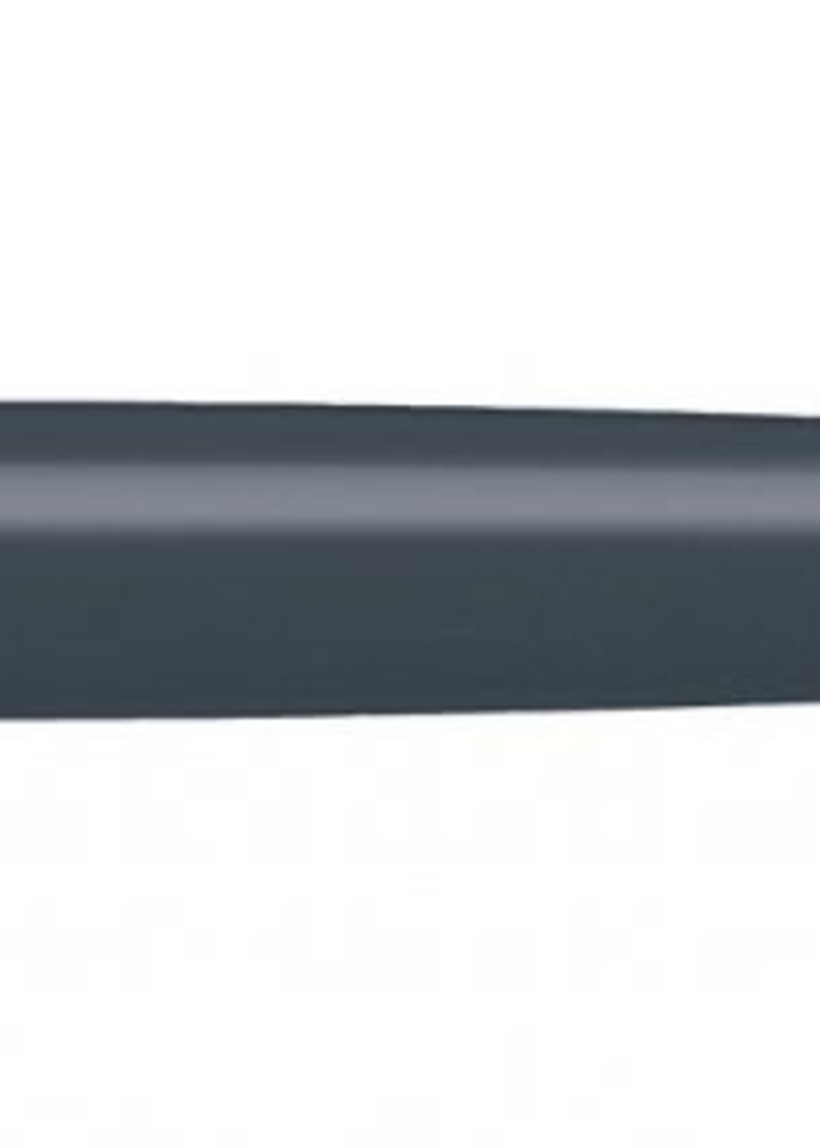 Caran d'Ache Tintenroller Léman Graphitgrau