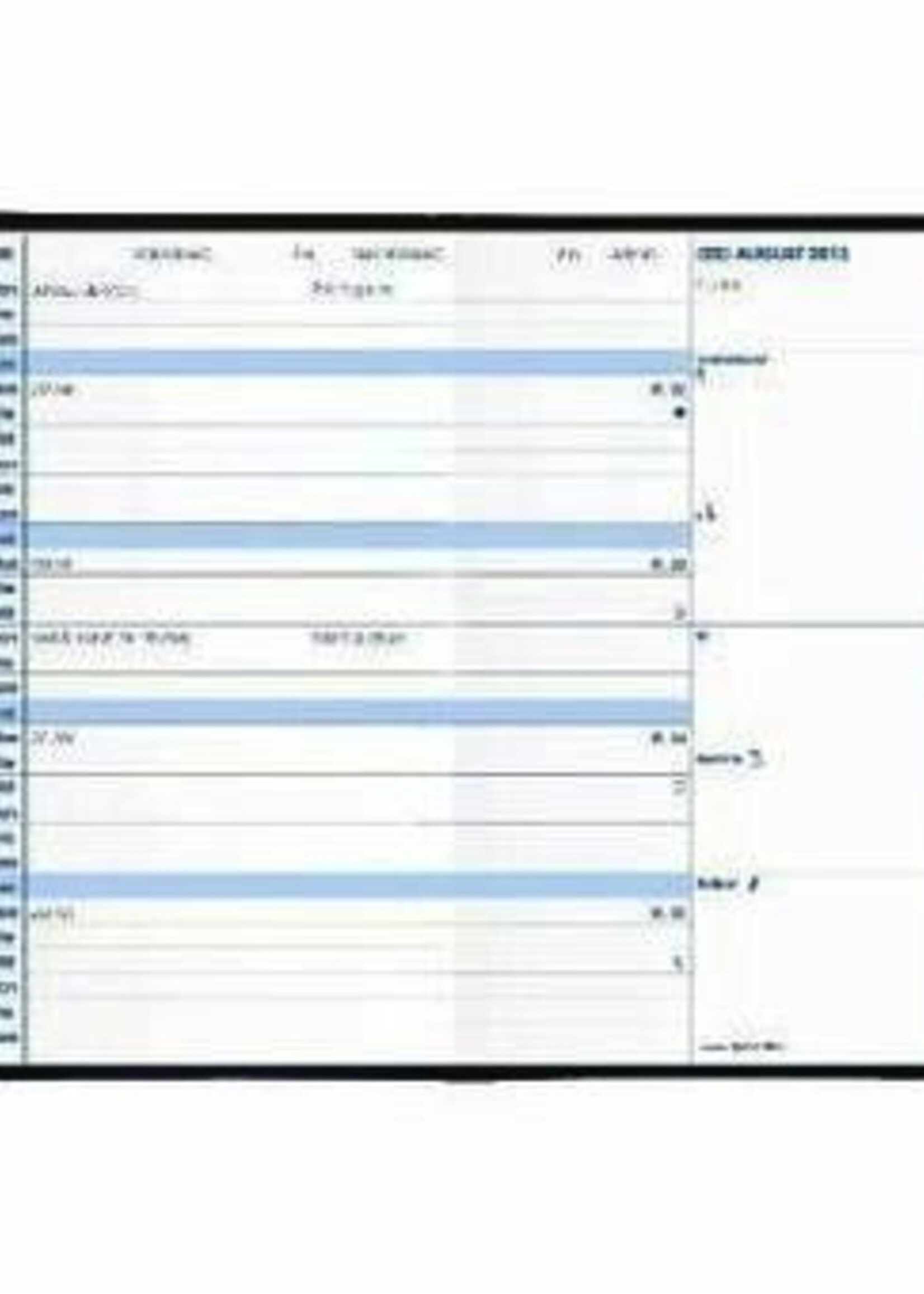 Quo Vadis PLAIN IMPALA Kalender sortiert A6 1M/1S PVC geheftet