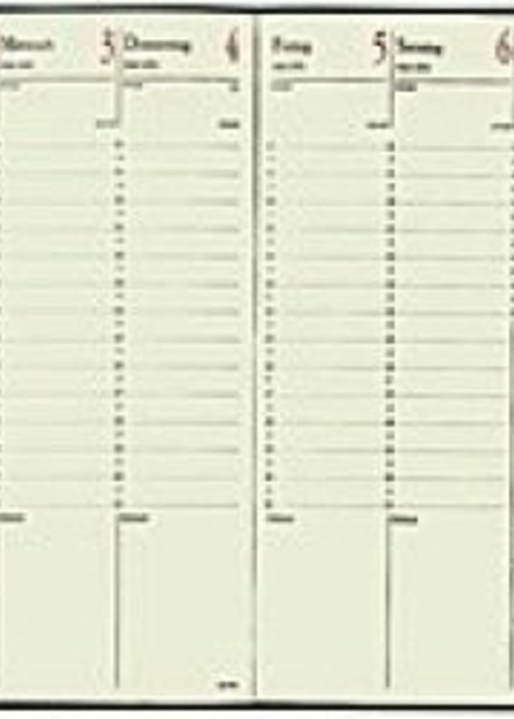 Quo Vadis Einlage f. Executif Prestige Tischkalender, 1W/1S