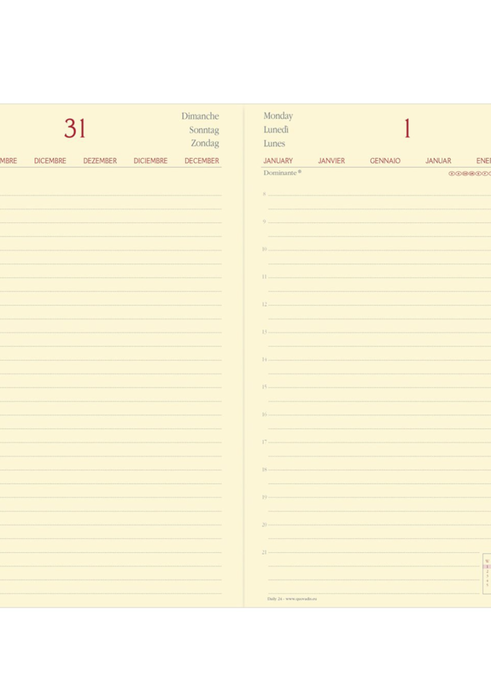 Quo Vadis Daily 24 Brand Schokolade