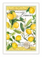 Michel Design Küchentuch Lemon Basil