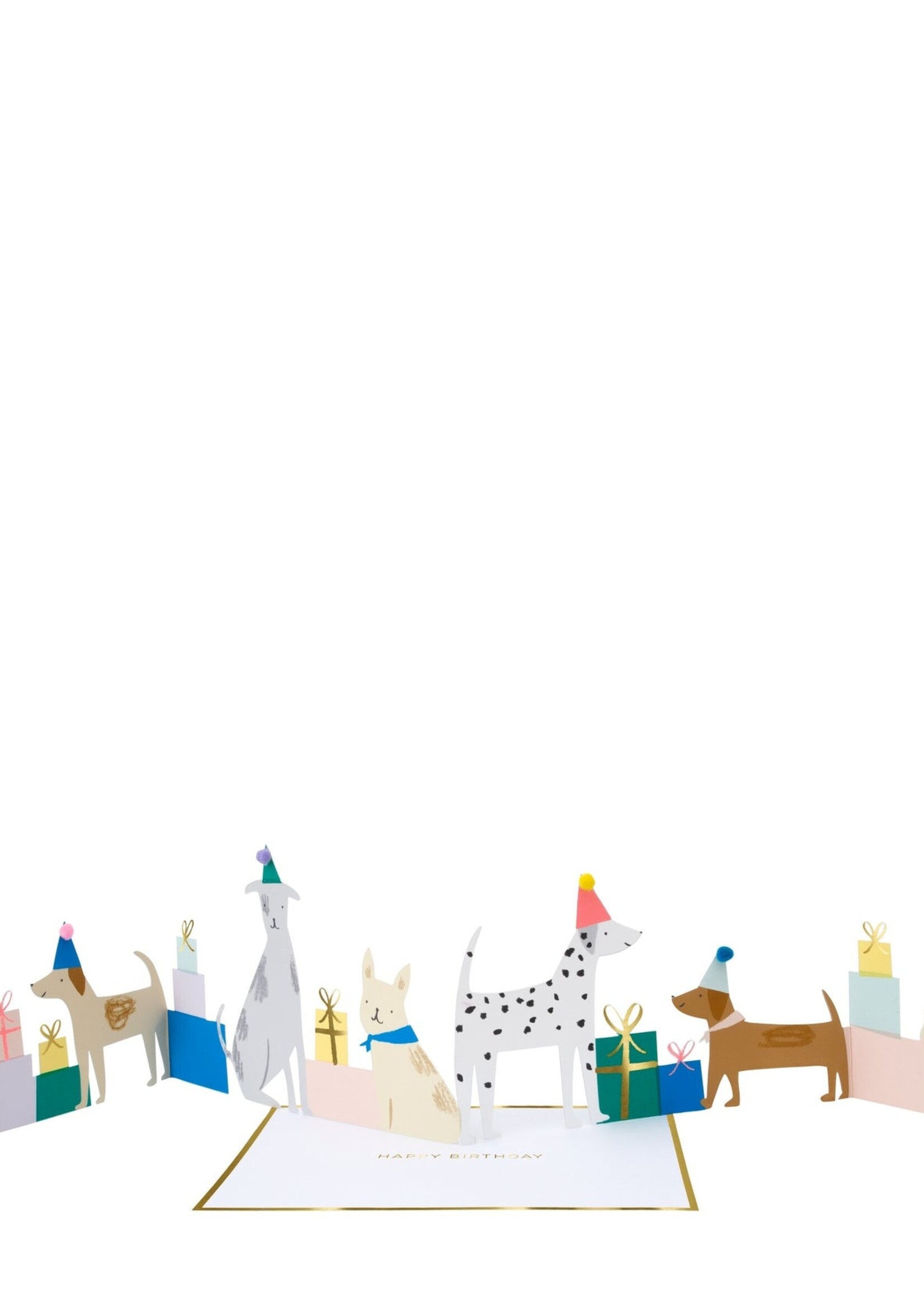 Meri Meri Dog Party Concertina Card