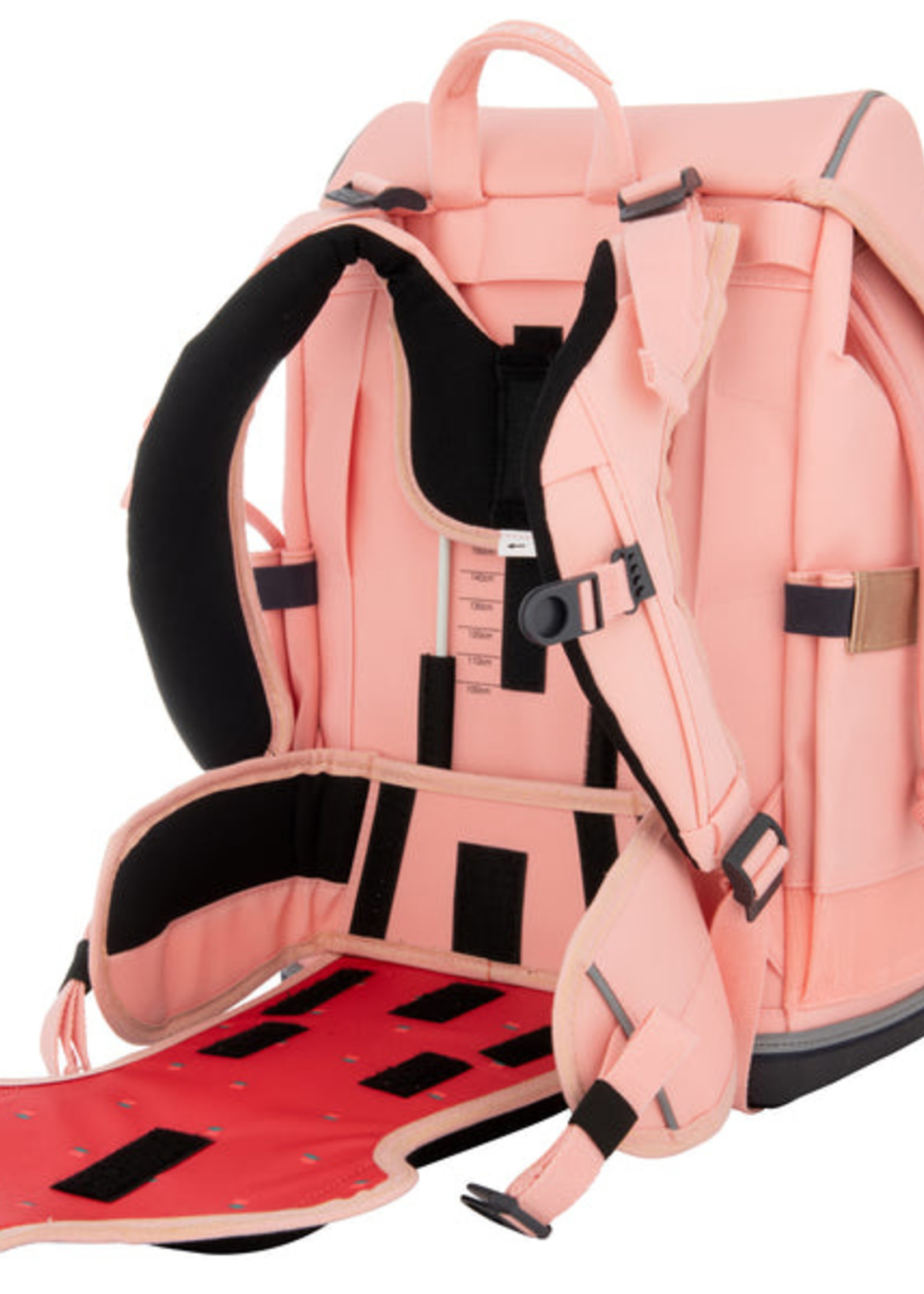 Jeune Premier Ergomaxx Pegasus