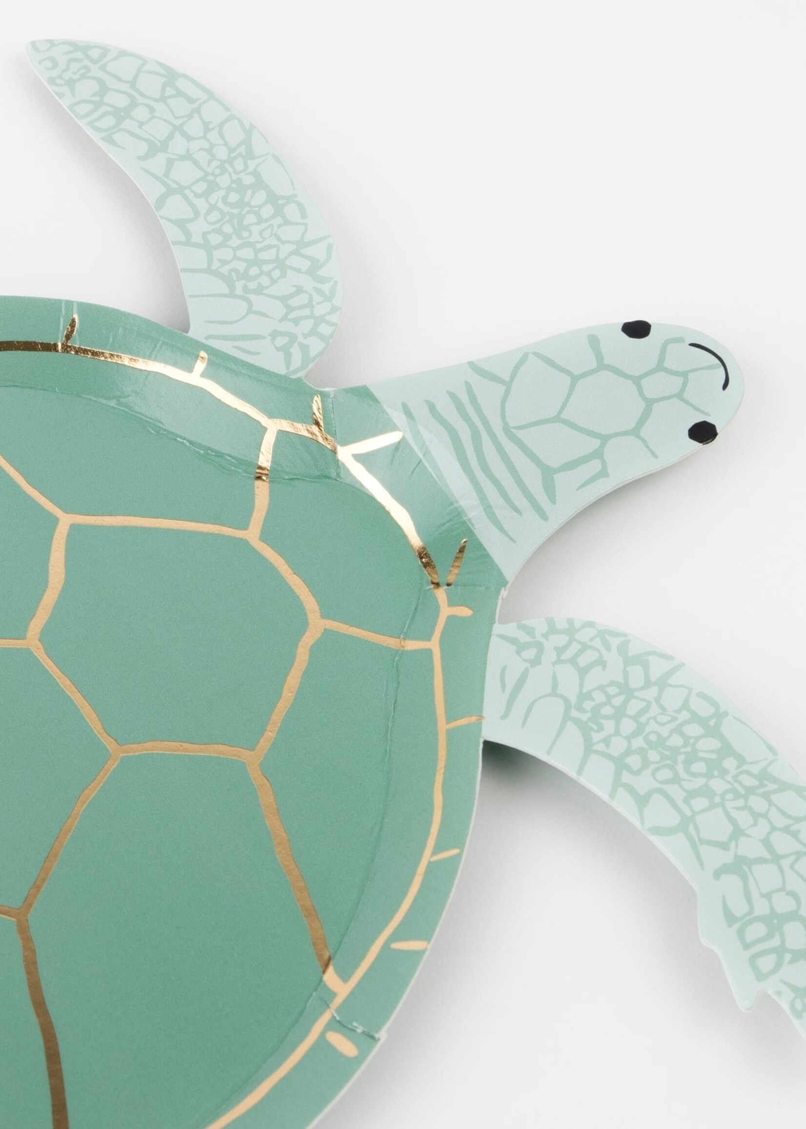 Meri Meri Turtle Plates