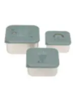 Lässig Fashion Snackbox Kinder (3er Set) - Edelstahl Brotdose, Garden Explorer