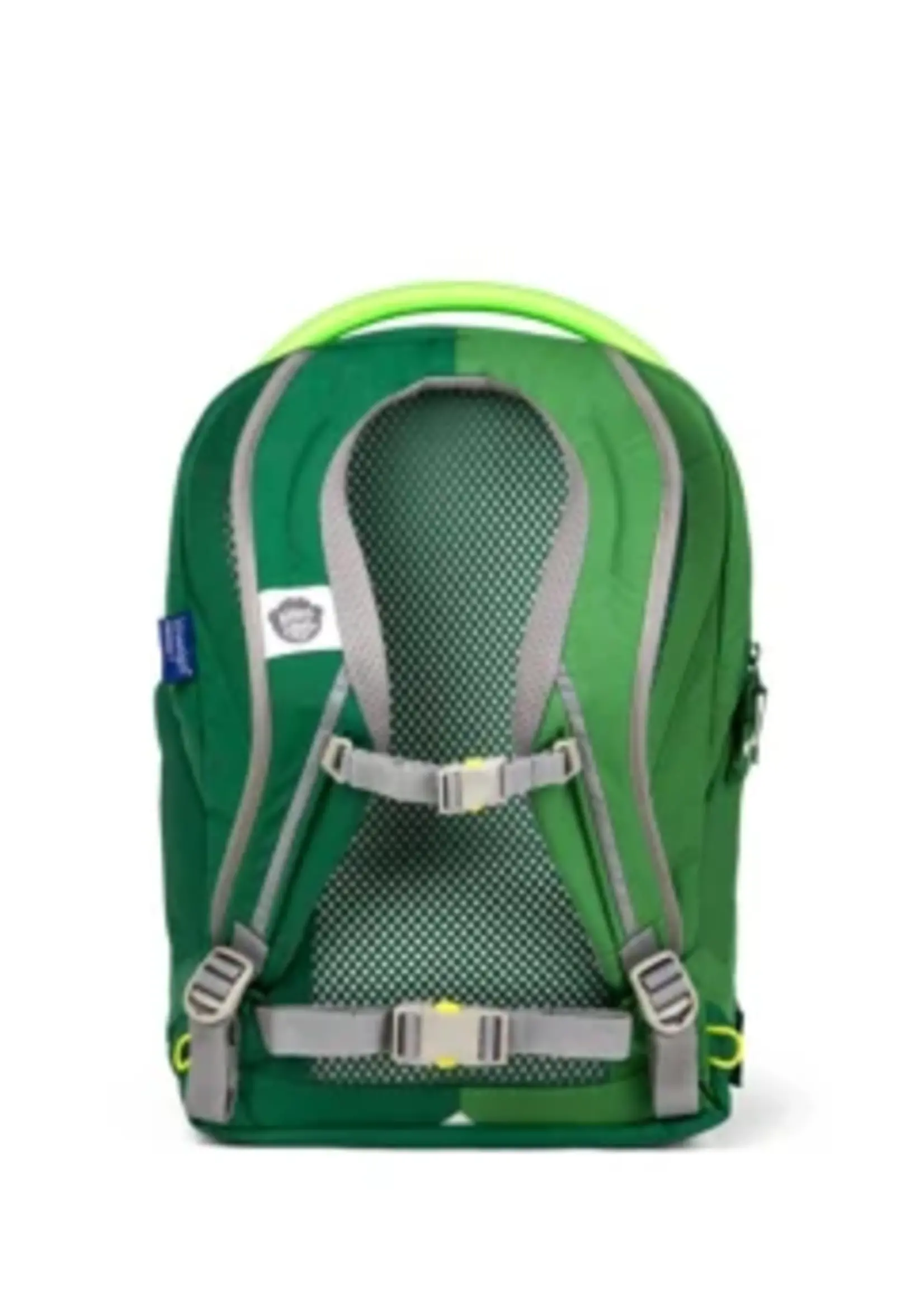 AFFENZAHN Daydreamer Frosch