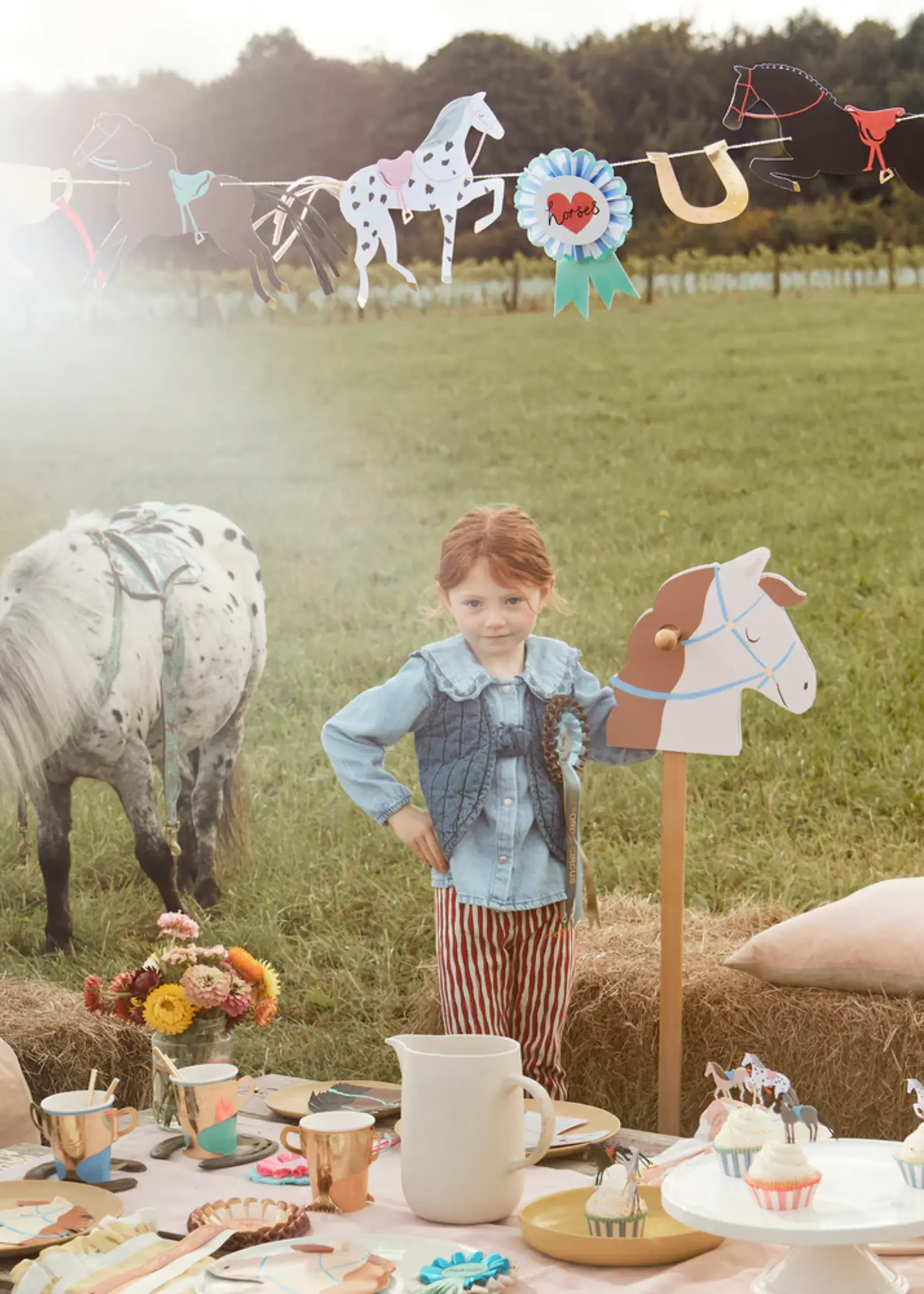 Meri Meri Horse Cupcake Kit