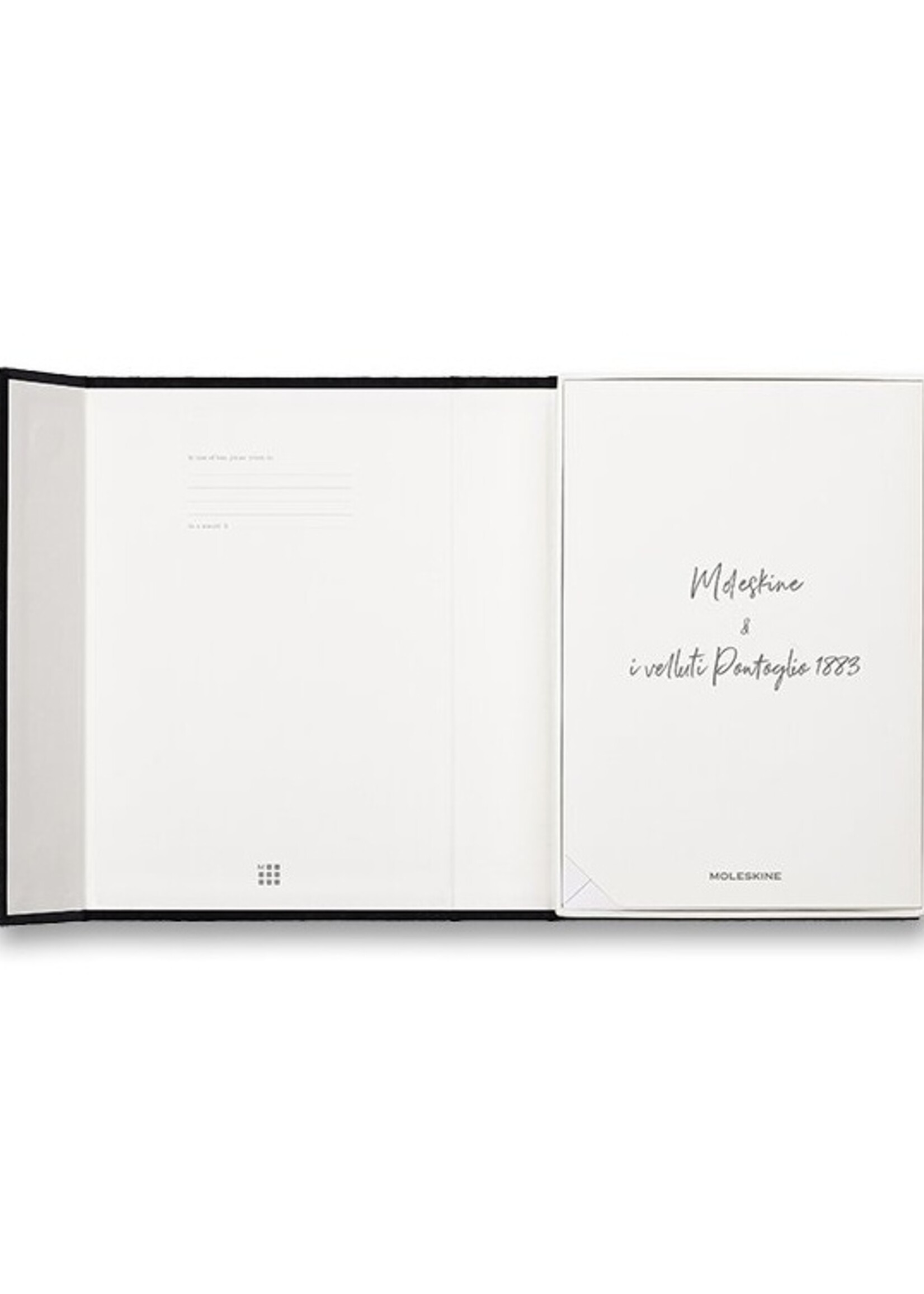 Moleskine NOTIZBUCH LARGE/A5 BOX ROSA