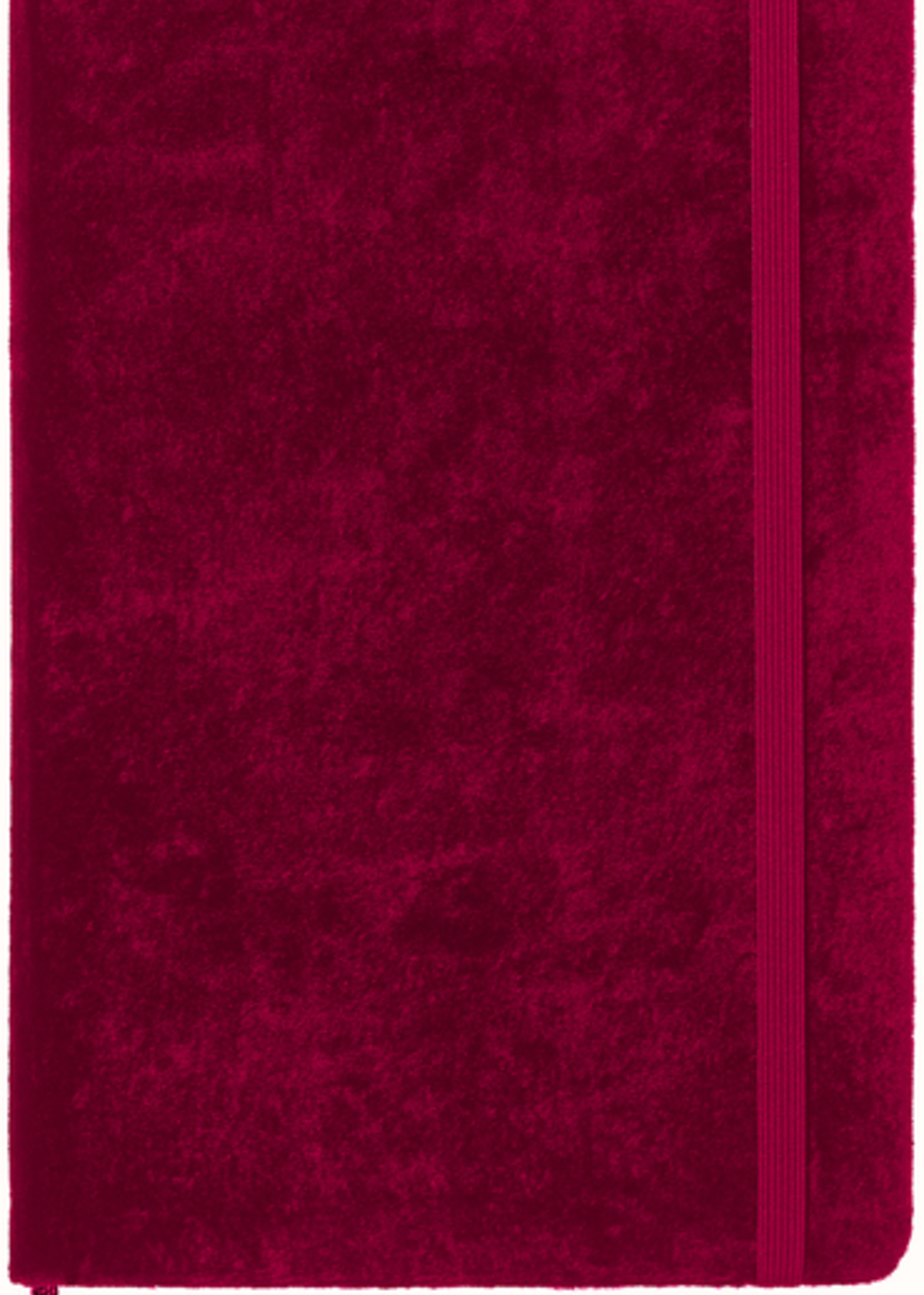 Moleskine NOTIZBUCH LARGE/A5 BOX ROSA