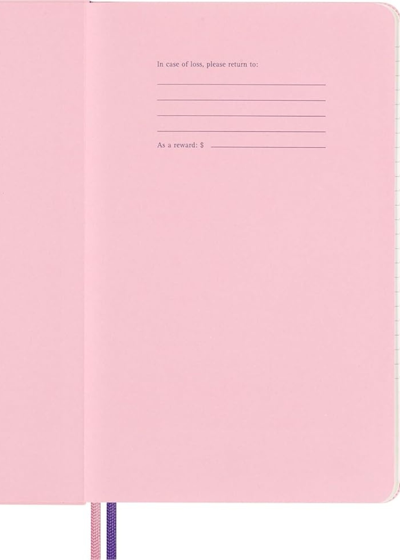 Moleskine Notizbuch LG lin.