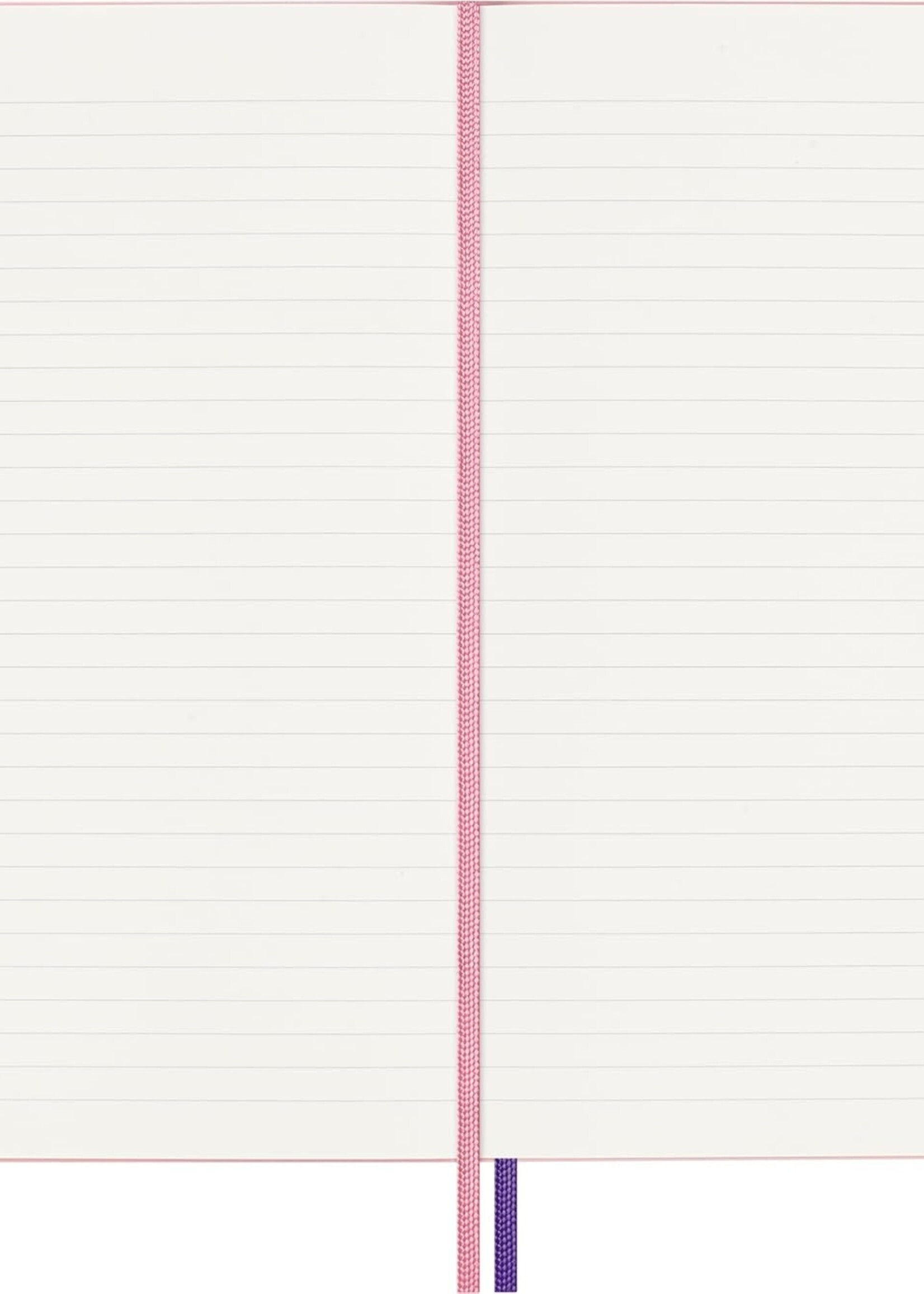 Moleskine Notizbuch LG lin.