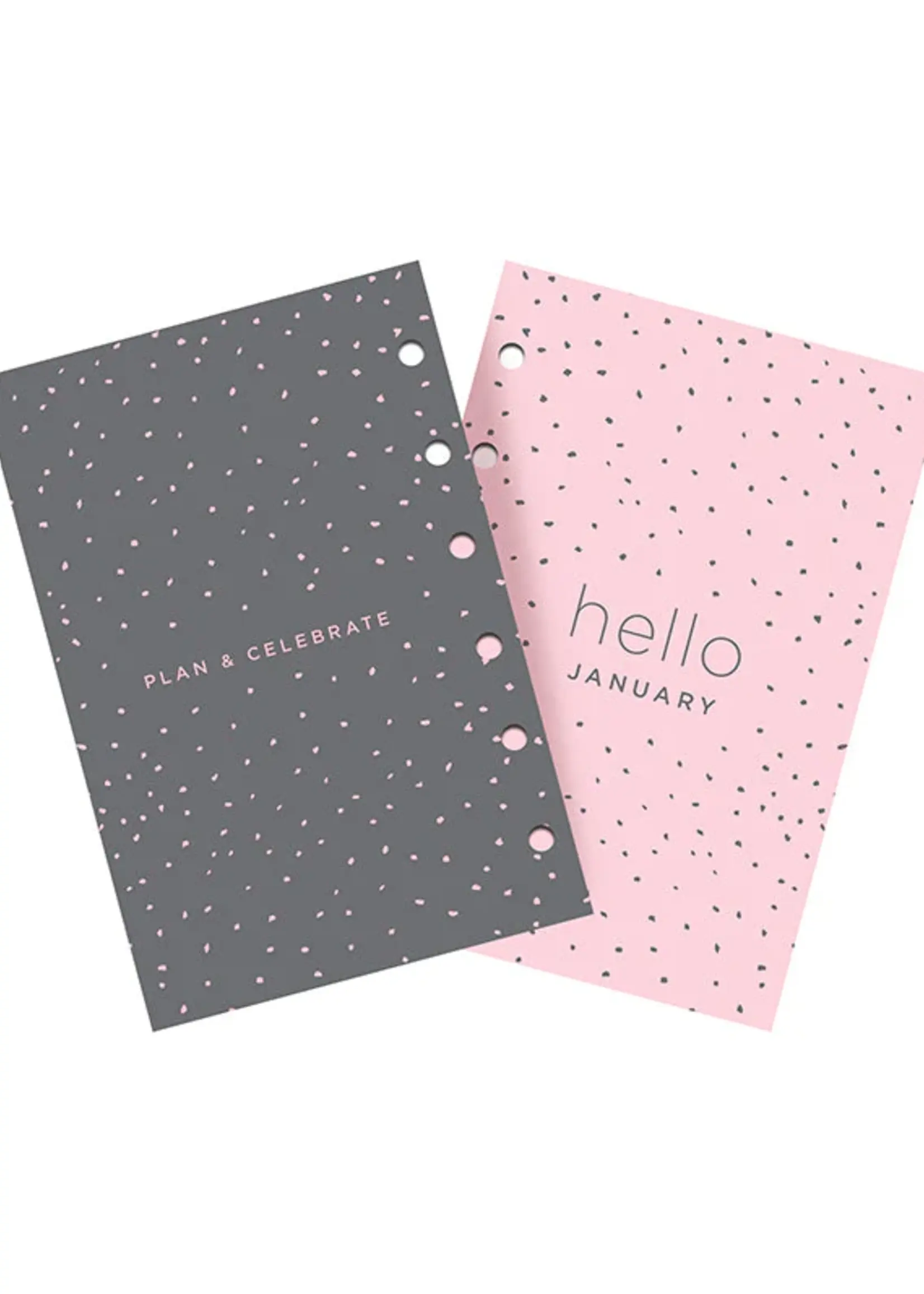 Filofax Confetti WTV Illustrated Diary