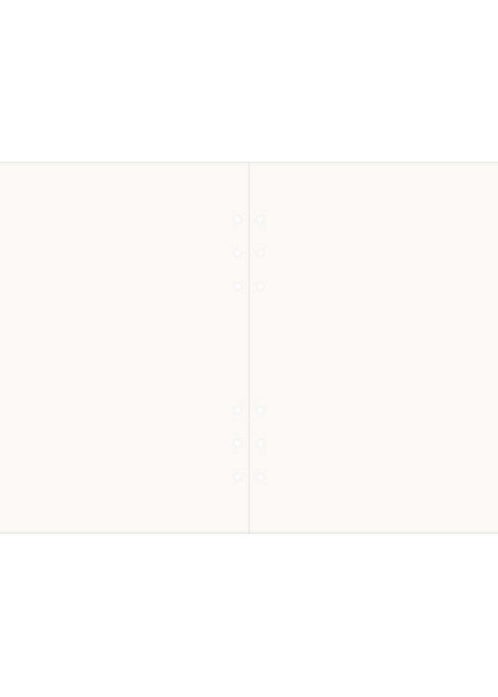 Filofax A5 REGISTER 6er blanko creme