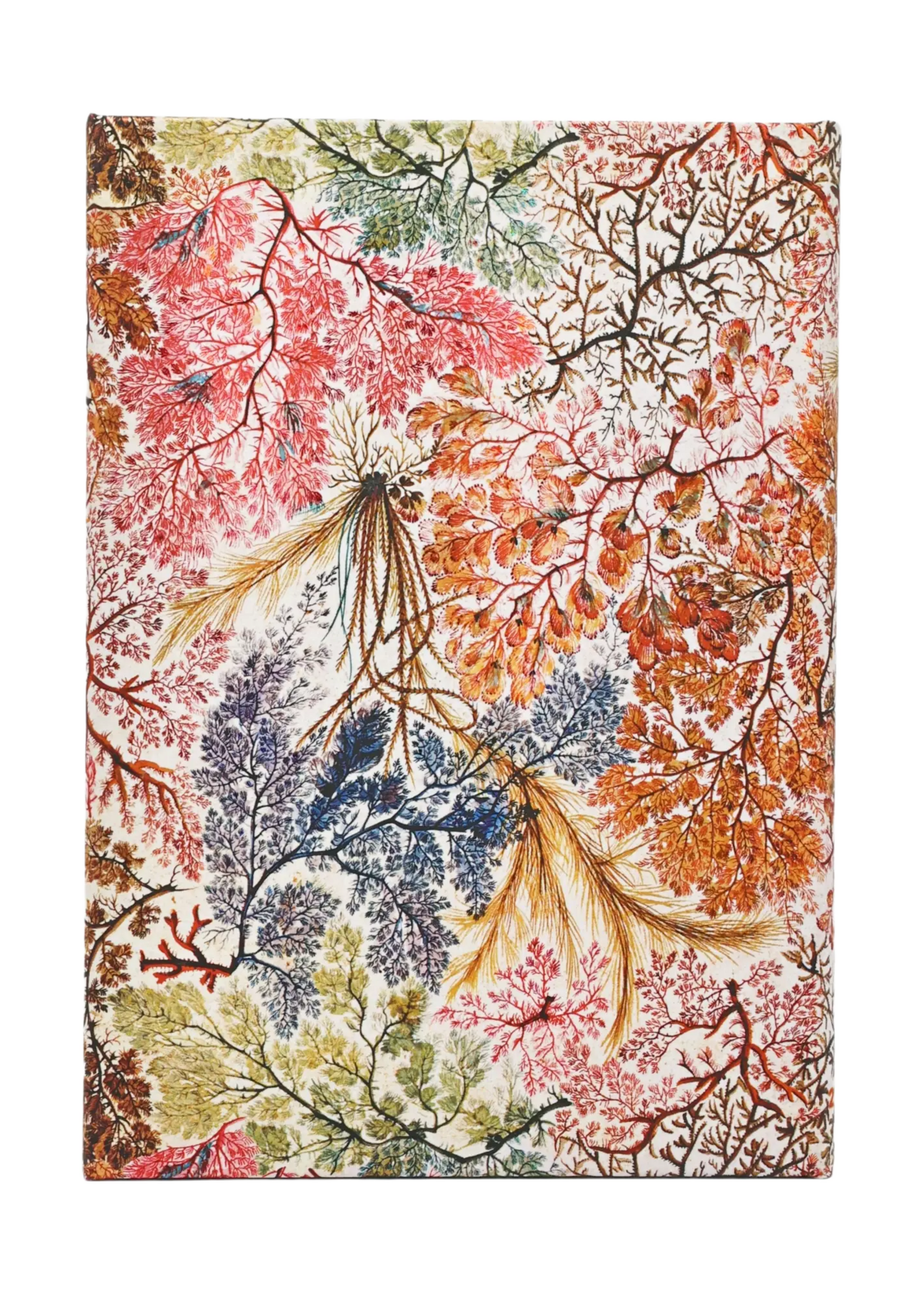 Paperblanks 12-Monatskalender 2027 Anemone, Midi, Vertikal – William Kilburn