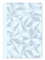 Caran d'Ache Notizbuch Alpine Frost, A5 liniert