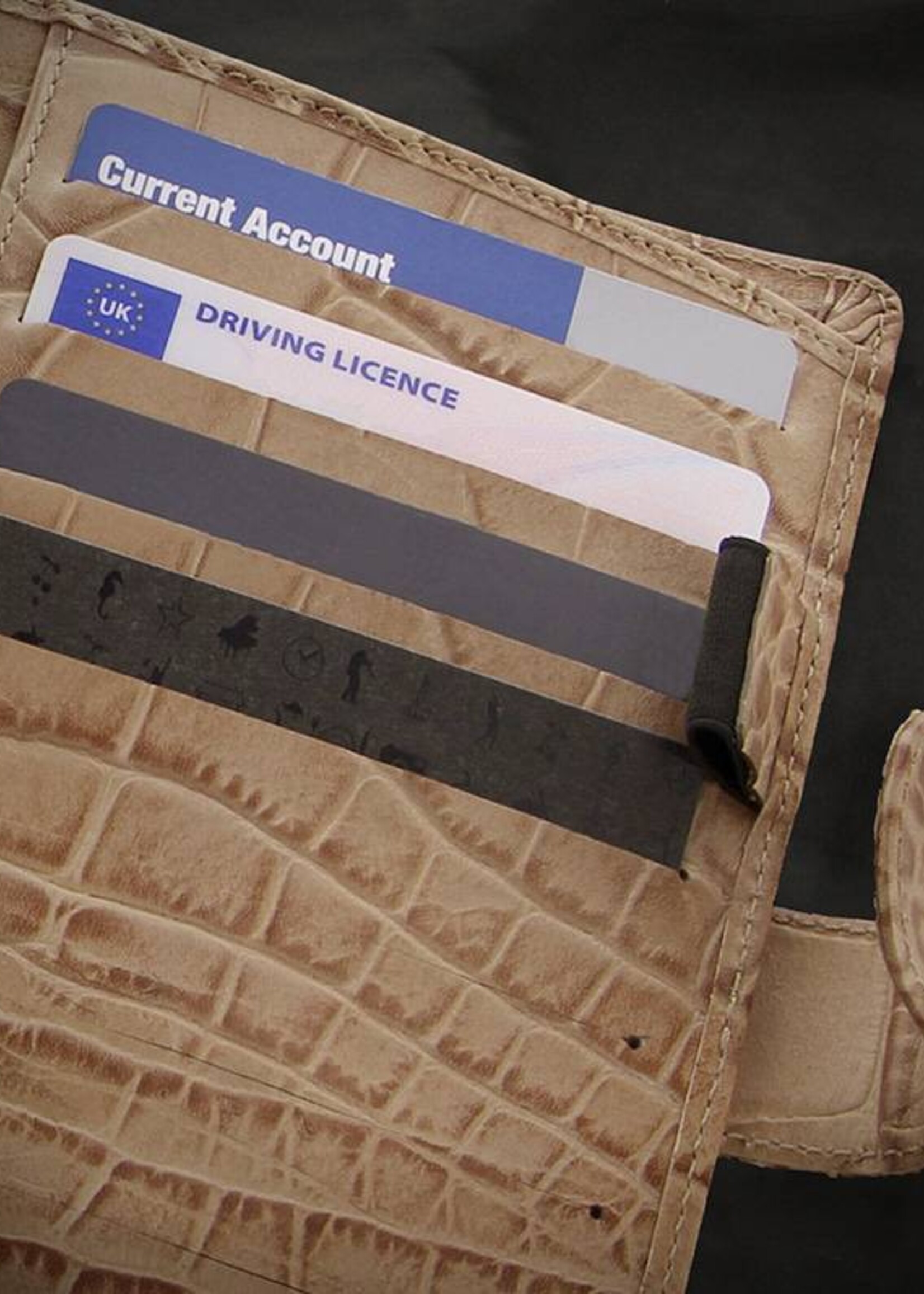 Filofax A5 CLASSIC CROC Taupe