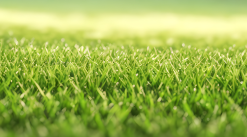 Alles wat je moet weten bij het kopen van Kunstgras