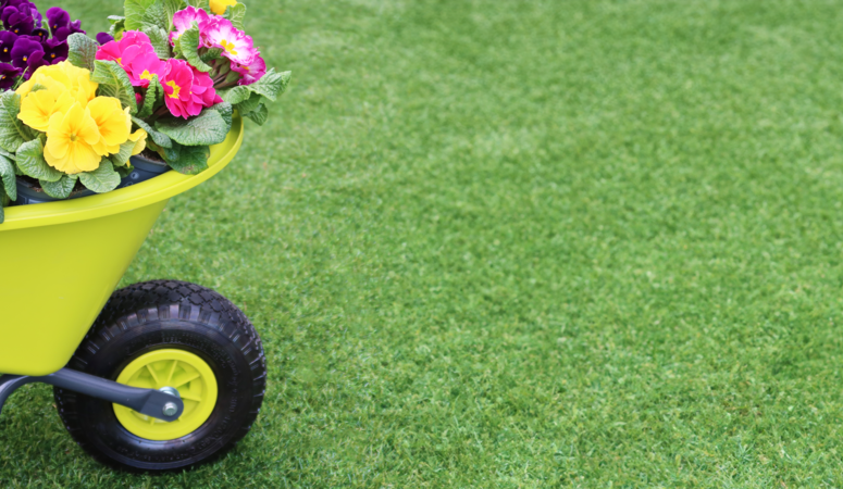 Lenteklaar met Kunstgras: Maak je tuin klaar voor het voorjaar!