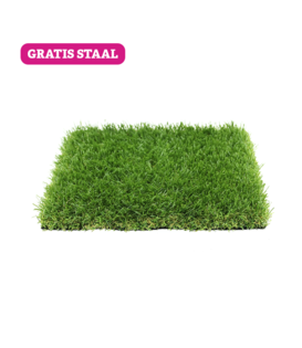 Staal - Kunstgras Rijssen 38 mm